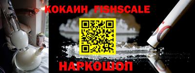 СК Кингисепп
