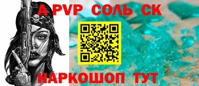 СК Кингисепп