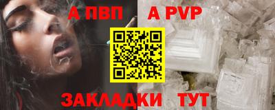 СК Кингисепп