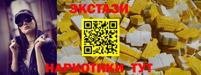 СК Кингисепп