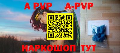 СК Кингисепп