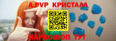 СК Кингисепп