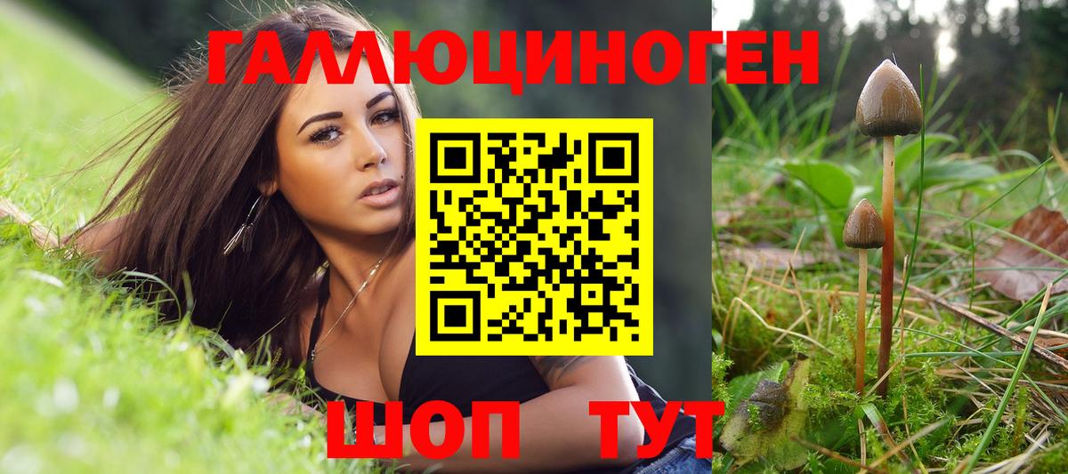 Псилоцибиновые грибы GOLDEN TEACHER Кириши
