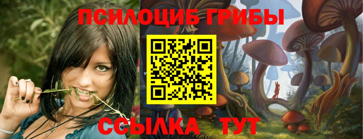 наркошоп  Вход с VPN  Кириши  Галлюциногенные грибы мухоморы 